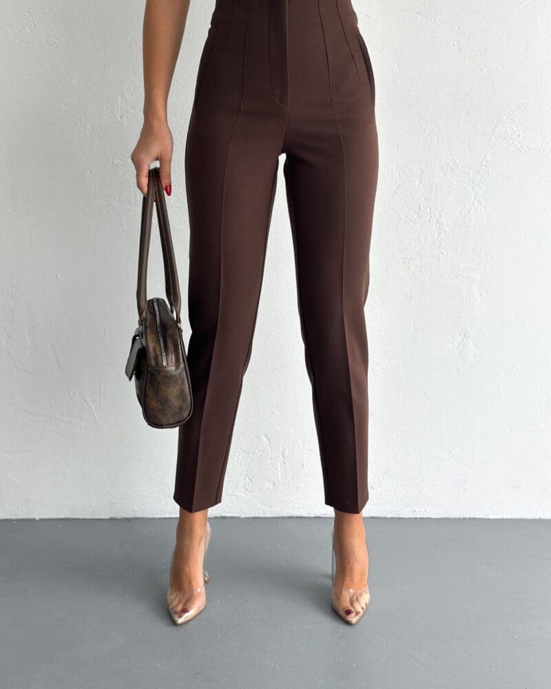 Brown High Waist Pleated Pants